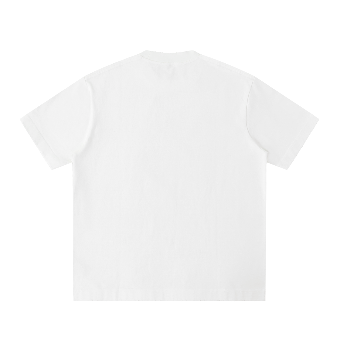 NTFL Minimalist Heavyweight  T-Shirt